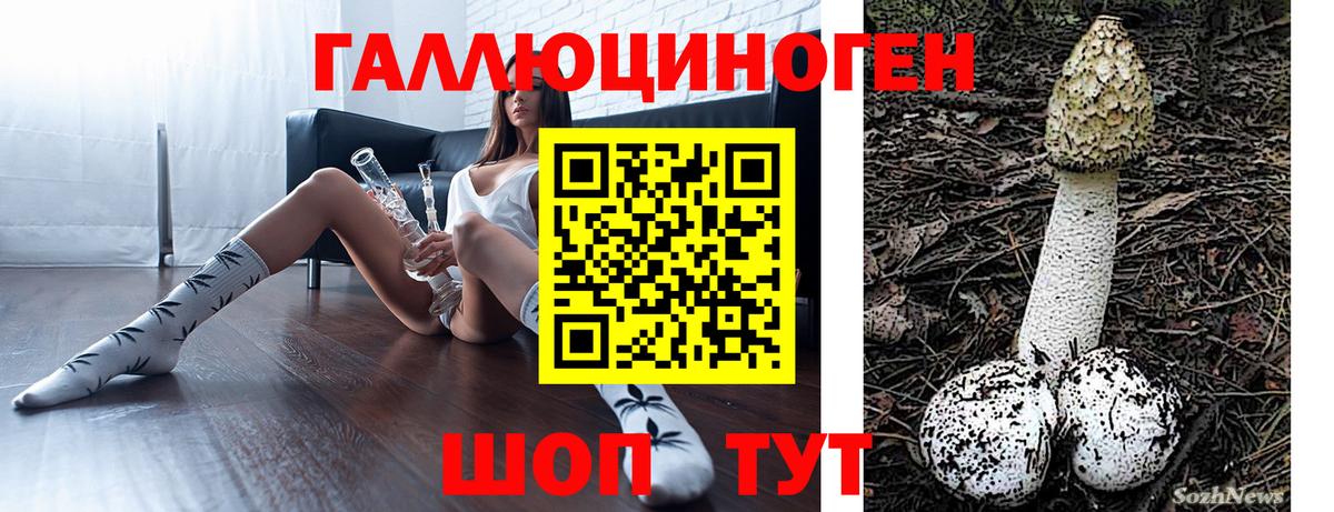 Экстази  Кодеин  Где продают наркотики?  МДМА  Мефедрон  ТГК  Вход с VPN  МАРИХУАНА  Сальск  Бошки Шишки  ГАШ  Меф МЯУ МЯУ   КОКАИН 